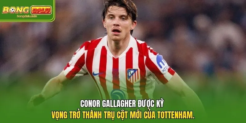 Conor Gallagher được kỳ vọng trở thành trụ cột mới của Tottenham.