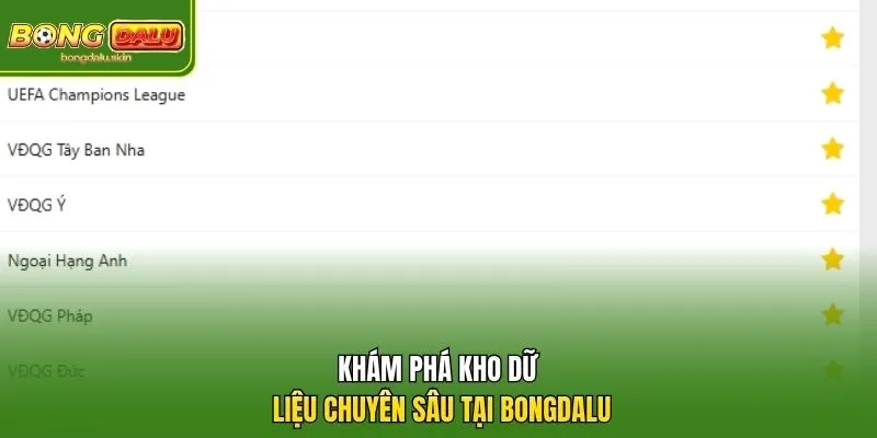 Khám phá kho dữ liệu chuyên sâu tại Bongdalu