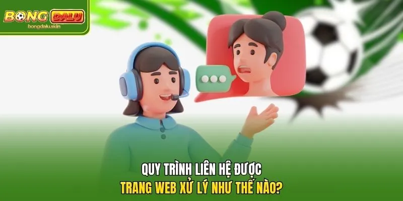 Quy trình Liên hệ được trang web xử lý như thế nào?