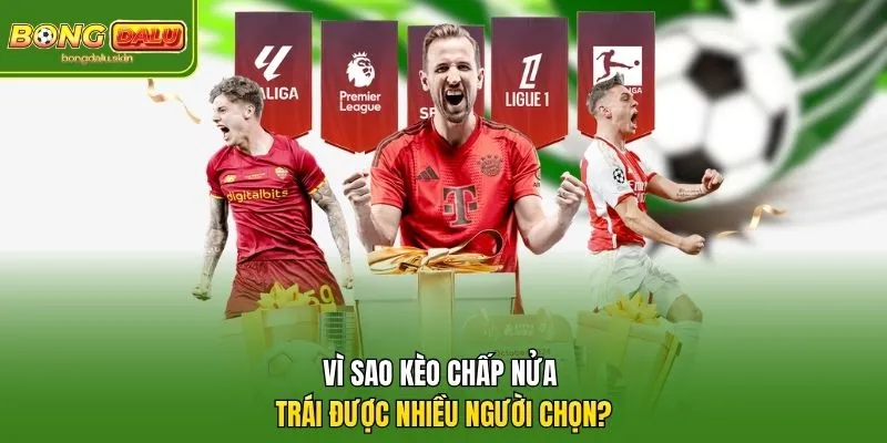 Vì sao kèo chấp nửa trái được nhiều người chọn?